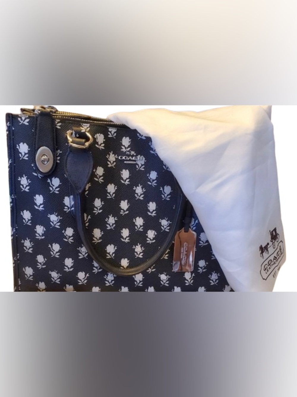 Coach F34775 Crosby Carryall in Printed Crossgrain Badlands (Silver/Black/White) - Picture 9 of 9